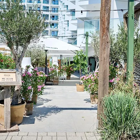 Shelly - Infinity Pool &