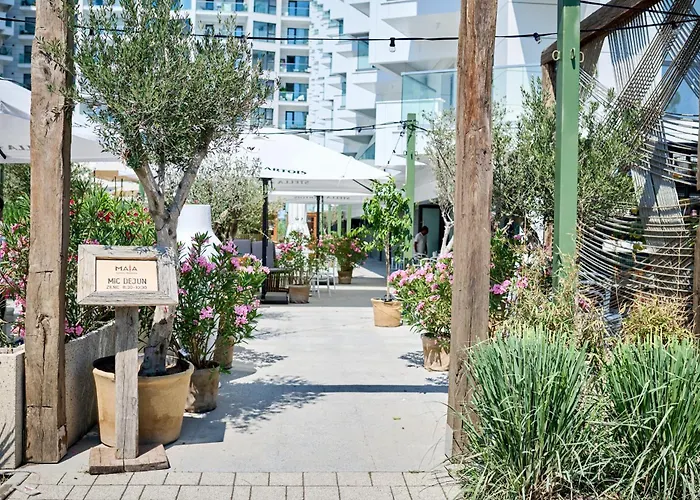 Shelly - Infinity Pool &